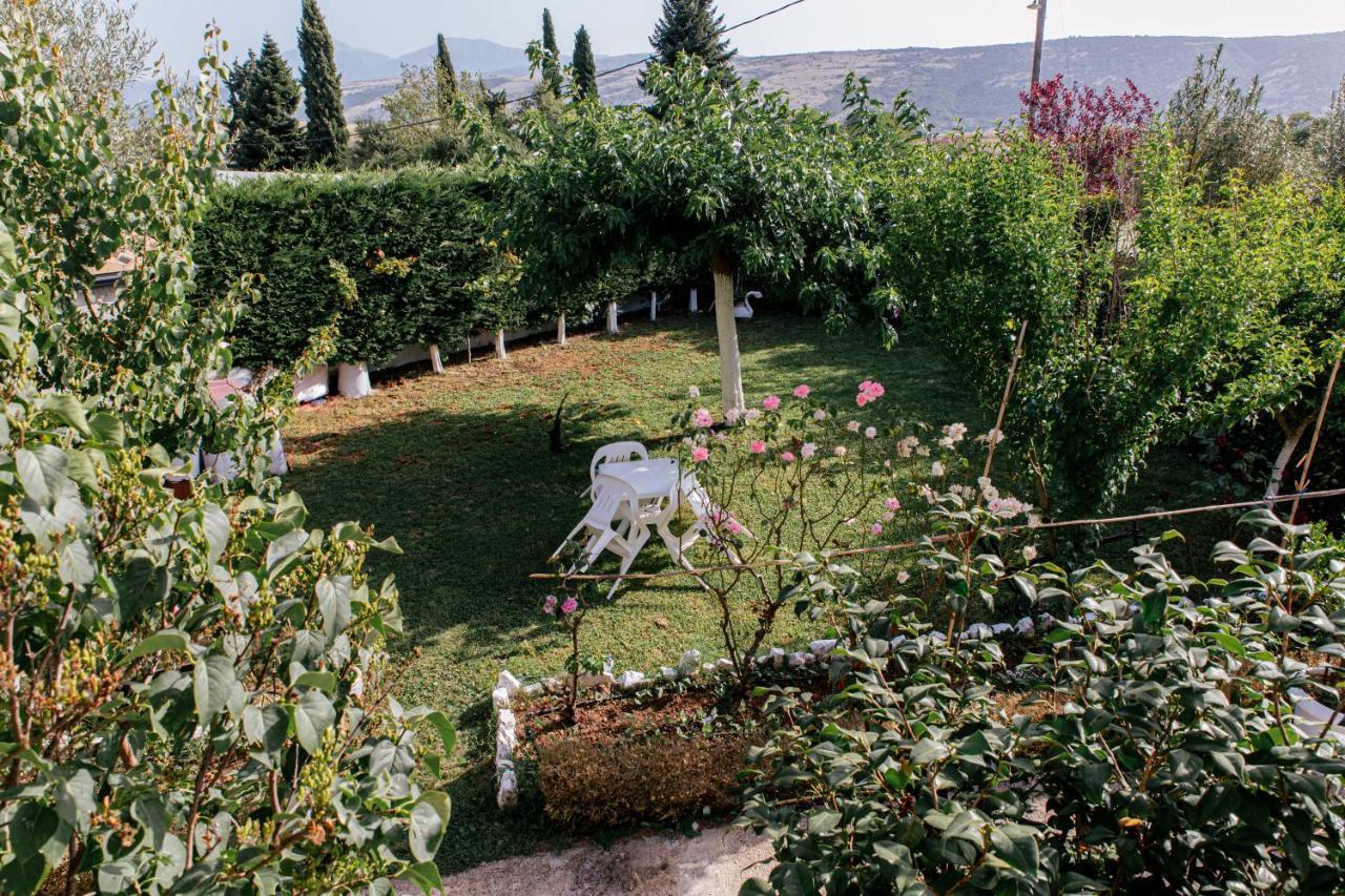 Anastasia'S Apartment Ioannina Bagian luar foto
